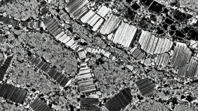 铁素体晶粒度测定